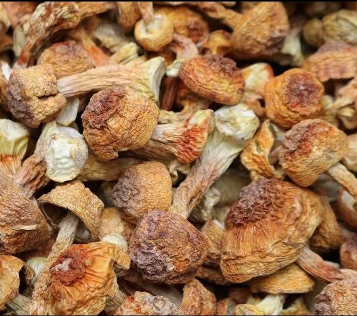干香菇产地地图示意