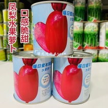 福日蜜本凤梨水果萝卜种子口感脆甜糖度高红皮红肉萝卜种子