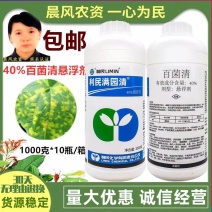 利民满园清40%百菌清蔬菜黄瓜霜霉病农药杀菌剂