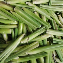 优质高山茭白