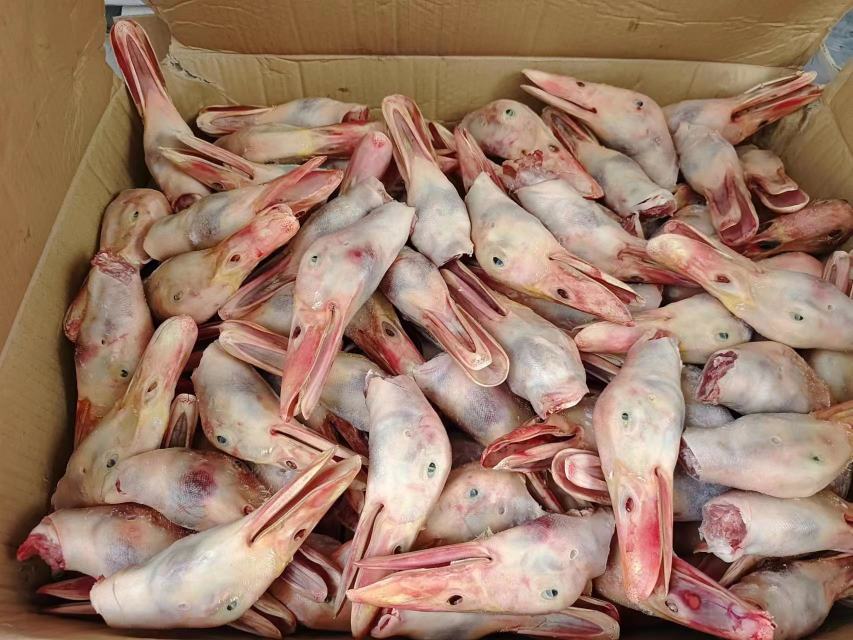 展会上展出的鸭梨主题文创产品,包括手工艺品、包装礼盒等 鸭梨文创产品展示