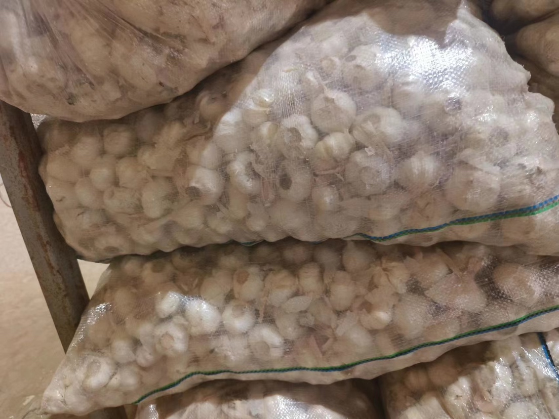 一斤干蒜与对应蒜米实物对比图