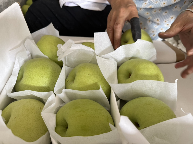 唐木金花梨礼盒与深加工产品展示