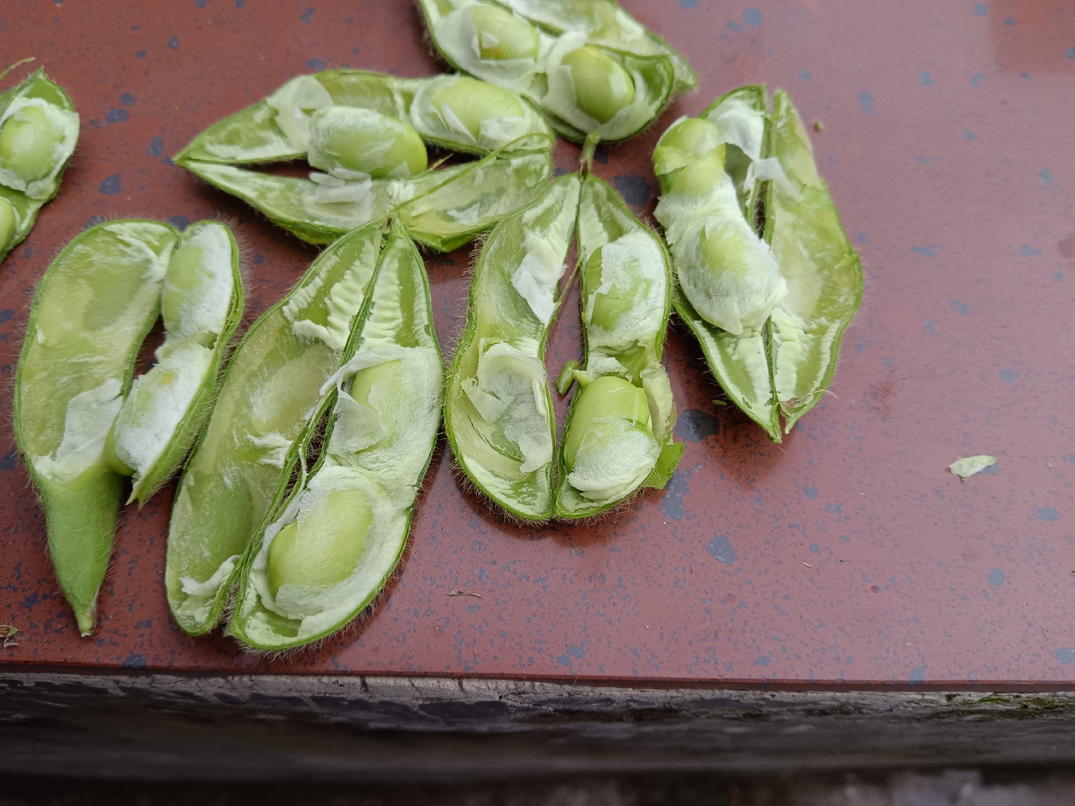 新鲜毛豆与干燥黄豆对比图