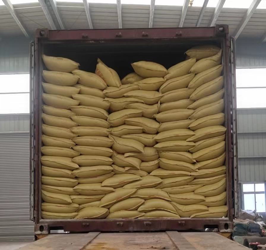 专业人员在实验室中对大豆样本进行转基因成分检测 有机大豆检测实验室