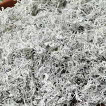 张家界莓茶原产地
