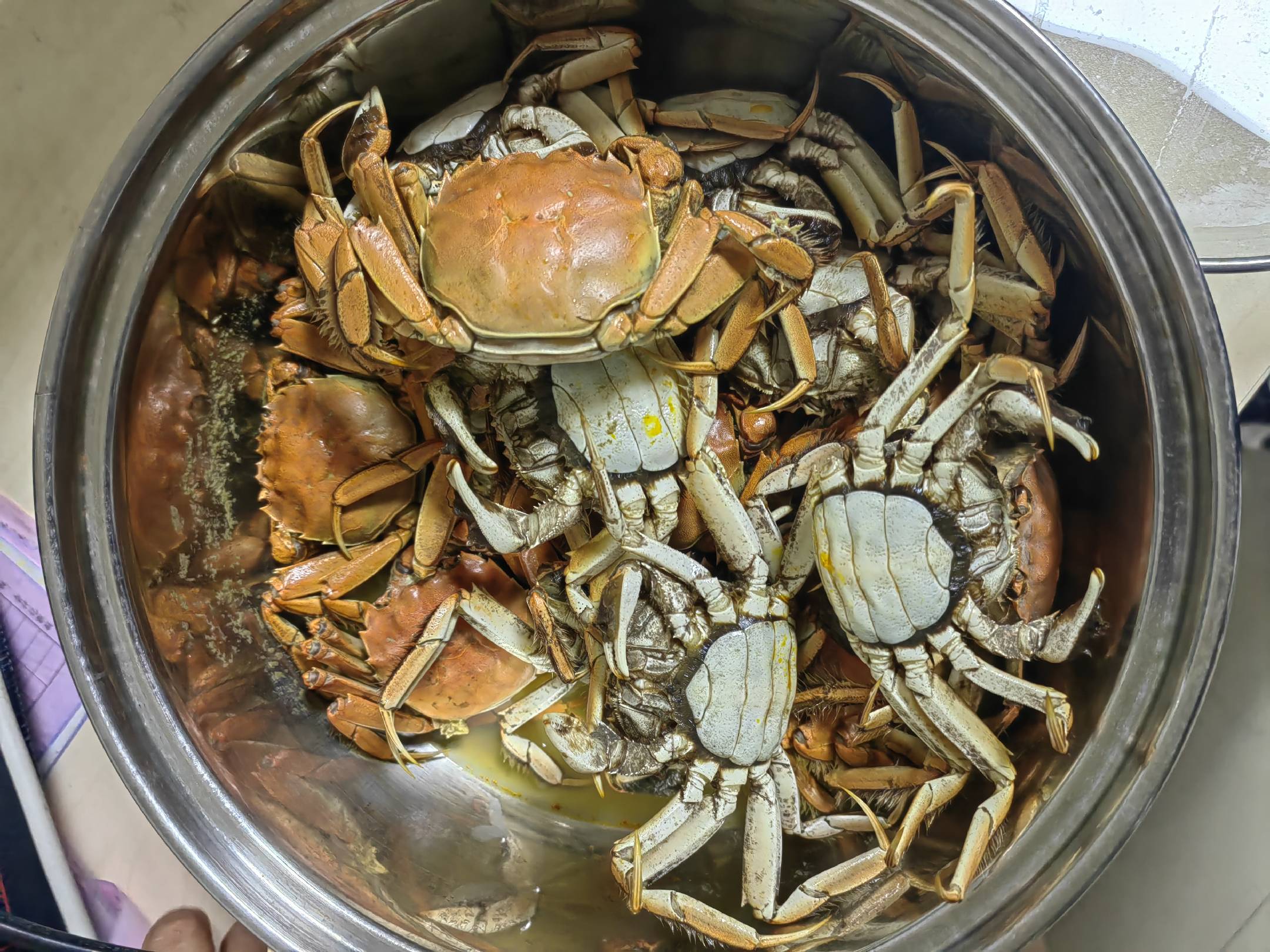 葱姜炒梭子蟹成品图