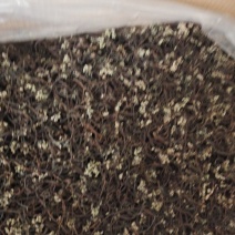 蕨菜干