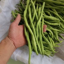 精品无丝豆超市市场直供实力代办可长期供货欢迎咨询