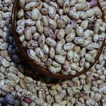 新鲜上市奶花豆，香糯可口，基地直供，欢迎惠顾。