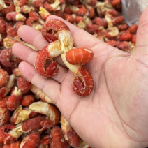龙虾尾，特级，一级，二级货源充足。