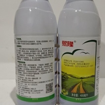 氯氟吡氧乙酸辛酯对猪秧秧拉拉秧等阔叶杂草有很好的防效