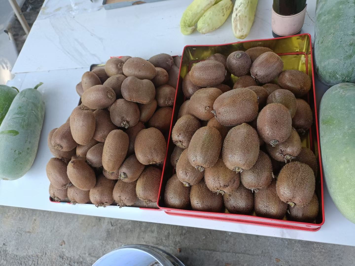 翠香猕猴桃与亚特猕猴桃对比图