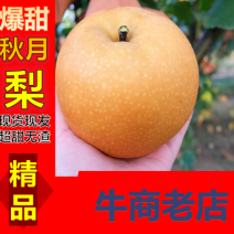 秋月梨，原装袋子的，价格美丽，质量好，货源充足