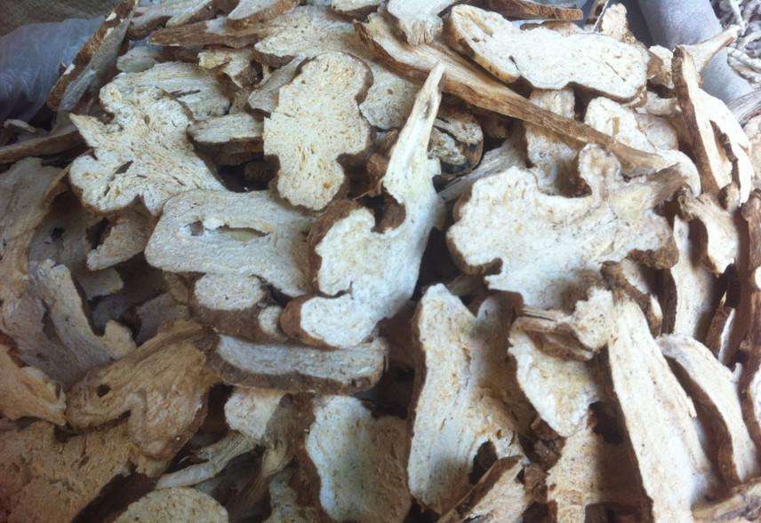 白术片与生白术对比图
