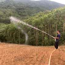山场出租