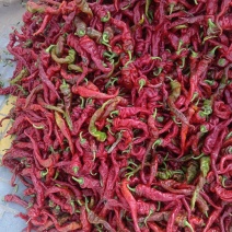 鲜辣椒红辣椒，工厂用，剁椒，打酱
