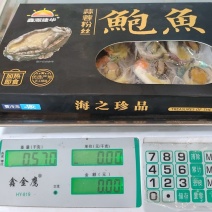 蒜蓉粉丝鲍鱼，全国冷链直发，一手货源，品质保证！！！！！