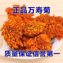 正宗万寿菊花茶天然万寿菊干花正品黄菊花干菊花大朵菊花泡