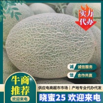海南晓蜜二十五号，实力供应商，欢迎各位老板电话联系