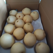 沃集鲜精品60四层带把皇冠梨