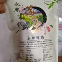 永顺莓茶