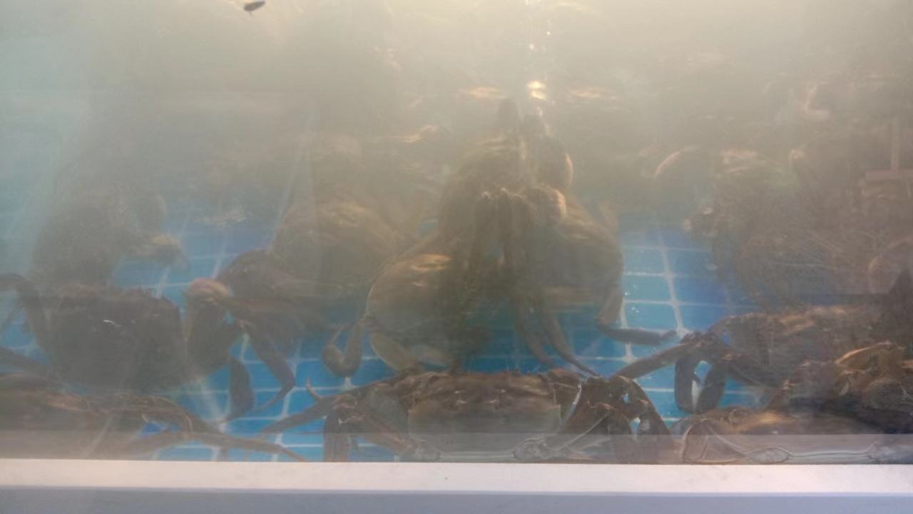 水煮梭子蟹炖煮过程图示