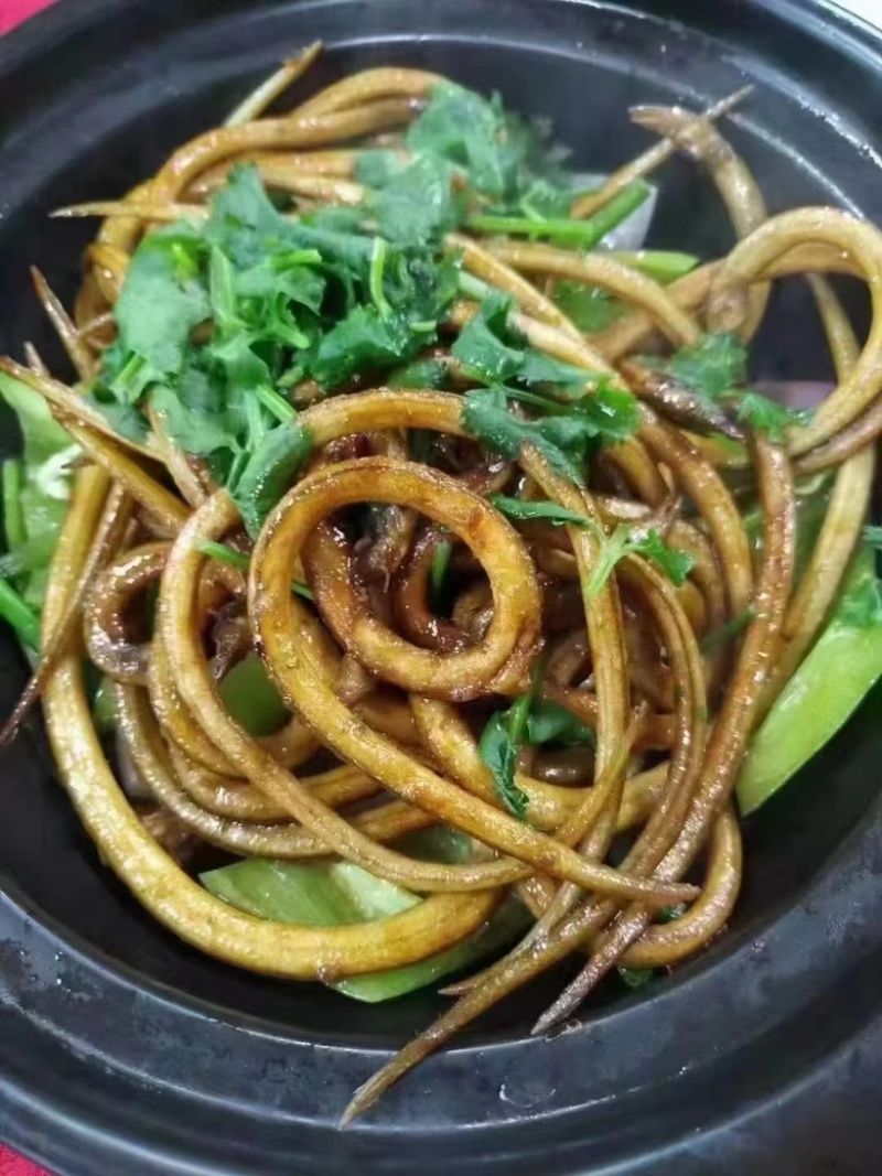 鳗鱼苗 食用炸鳗鱼 鳗鱼仔鳗鱼炸烤椒盐鳗鱼 小鳗鱼