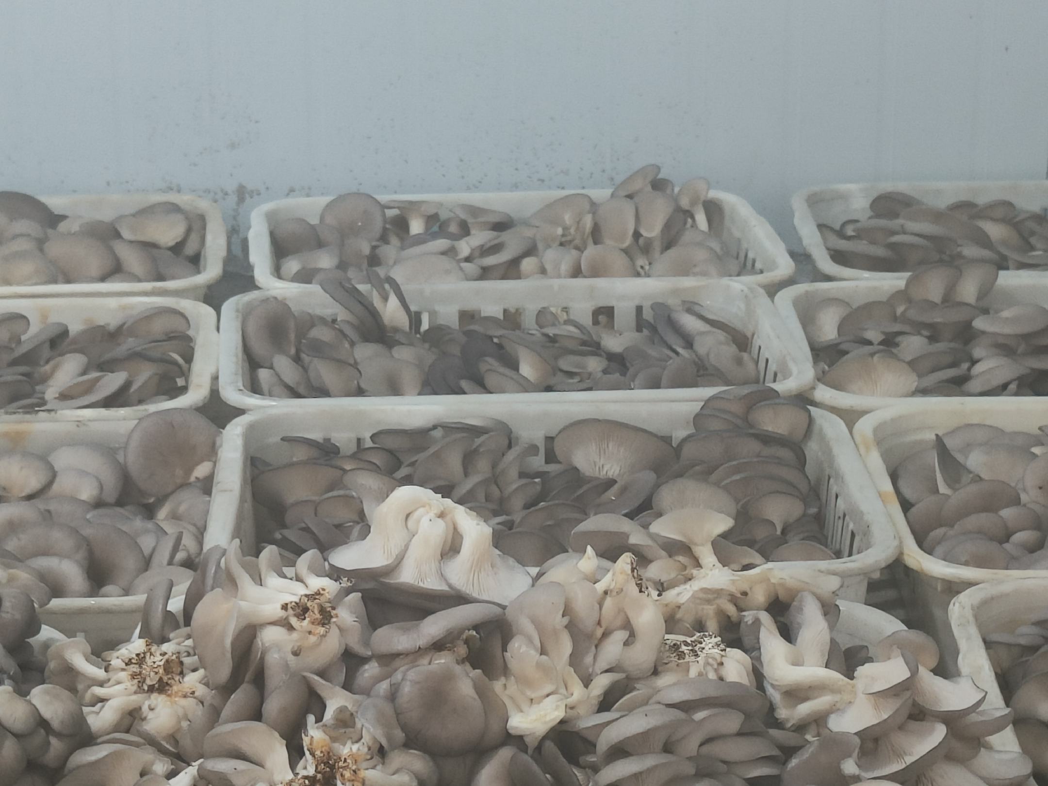 厨房操作台上的食材与工具