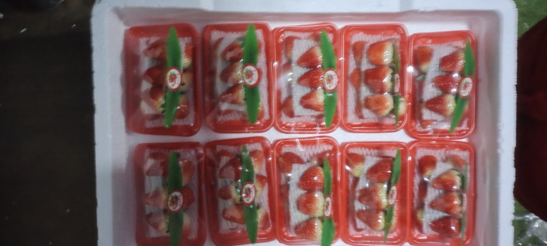 奶油草莓在冷藏保鲜盒中整齐摆放