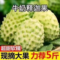 [一件代发]品质牛奶释迦果电商直播现货秒发