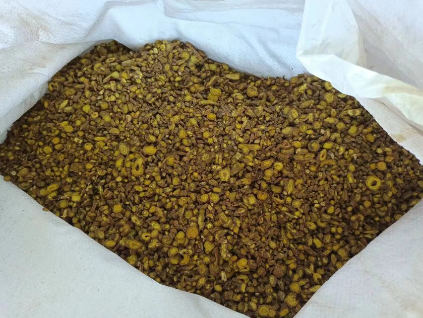 黄芩颗粒实物特写：白色铝塑复合袋独立包装，正面清晰印有“黄芩颗粒”“每袋含黄芩饮片3g”“黄芩苷≥240mg”及“山西浑源道地药材”字样，背景为洁净GMP车间流水线