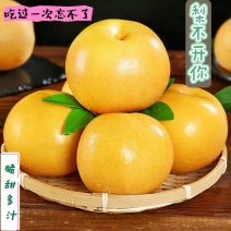 精选山东冠县丰水梨，秋月梨，可对接社区团购，电商平台