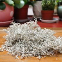 野生莓茶
