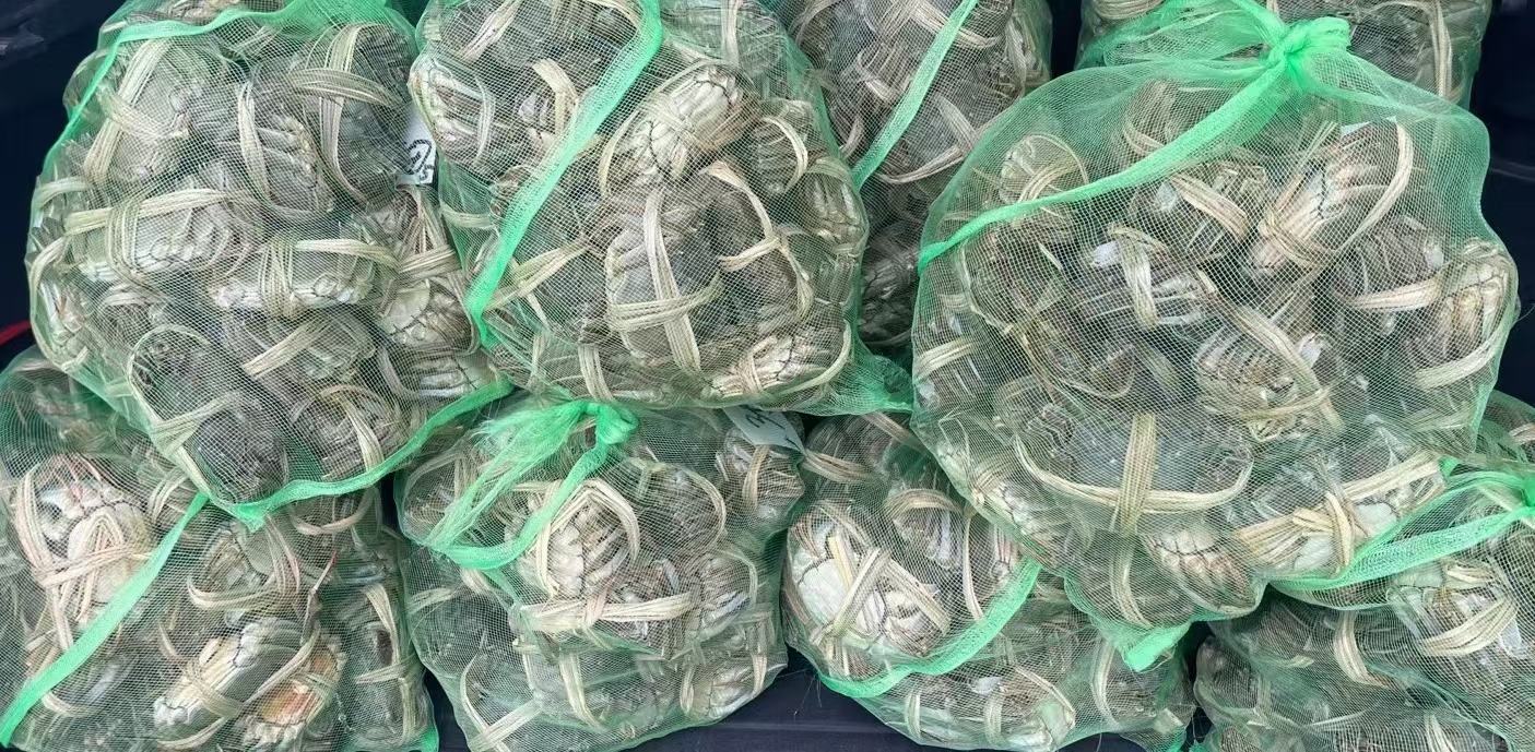 顾客在超市生鲜区认真挑选远海梭子蟹,工作人员在一旁协助 消费者在超市挑选远海梭子蟹