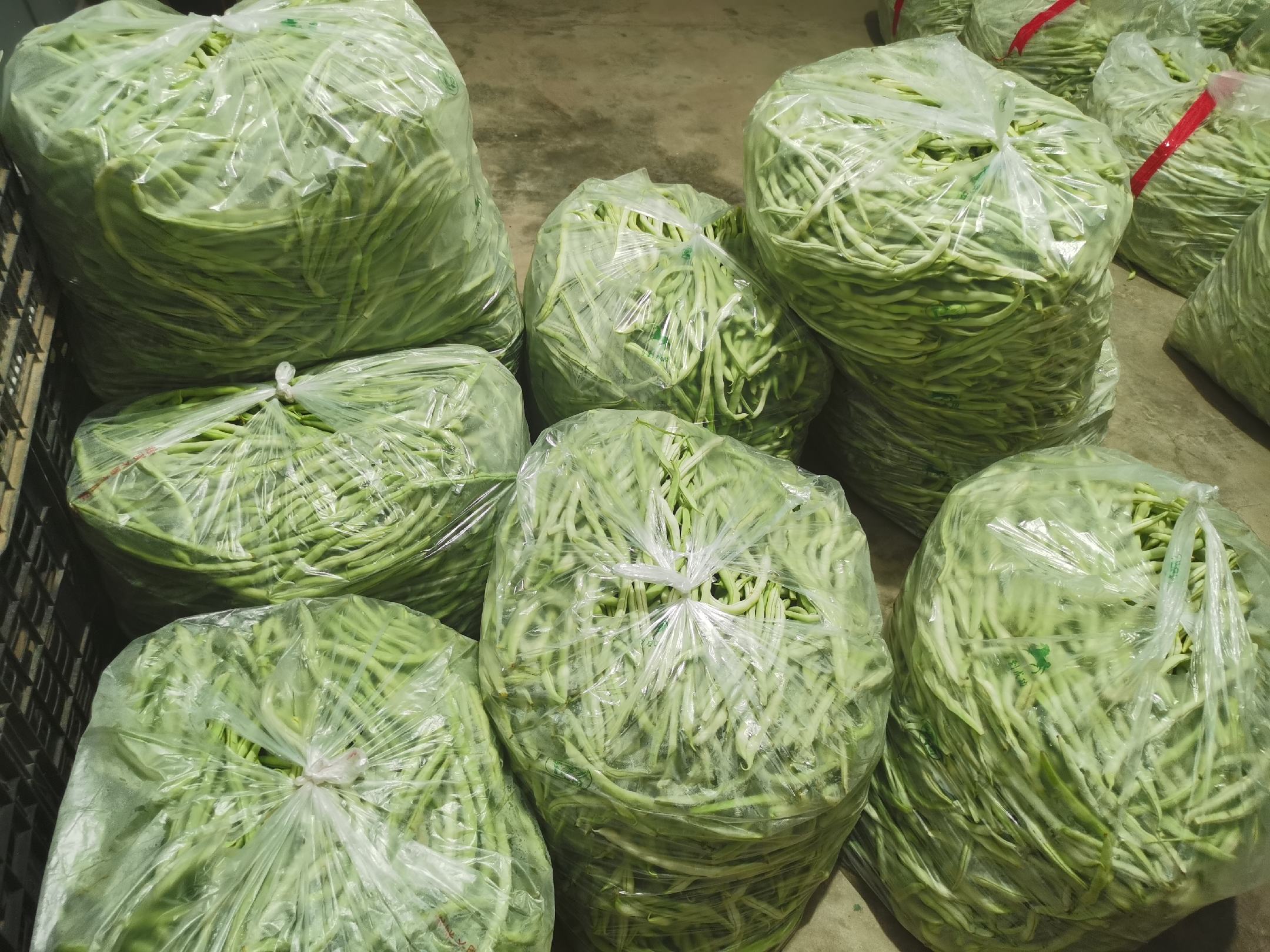 展示长豆脸无筋豆在超市货架、电商包装盒、批发市场装箱等不同销售渠道的陈列场景 长豆脸无筋豆包装与销售渠道展示