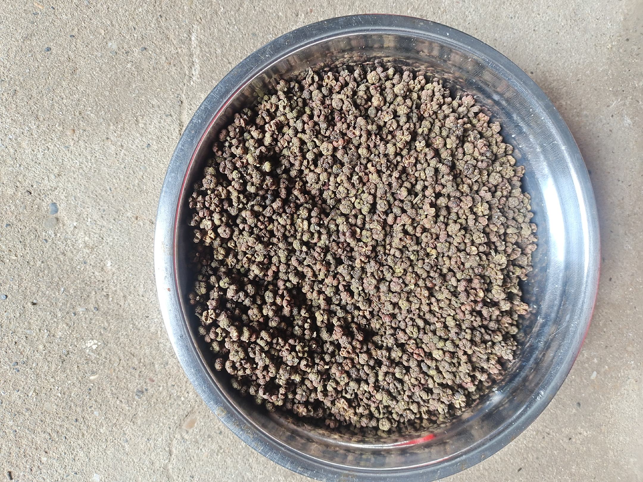 熟地黄与山茱萸药材对比图