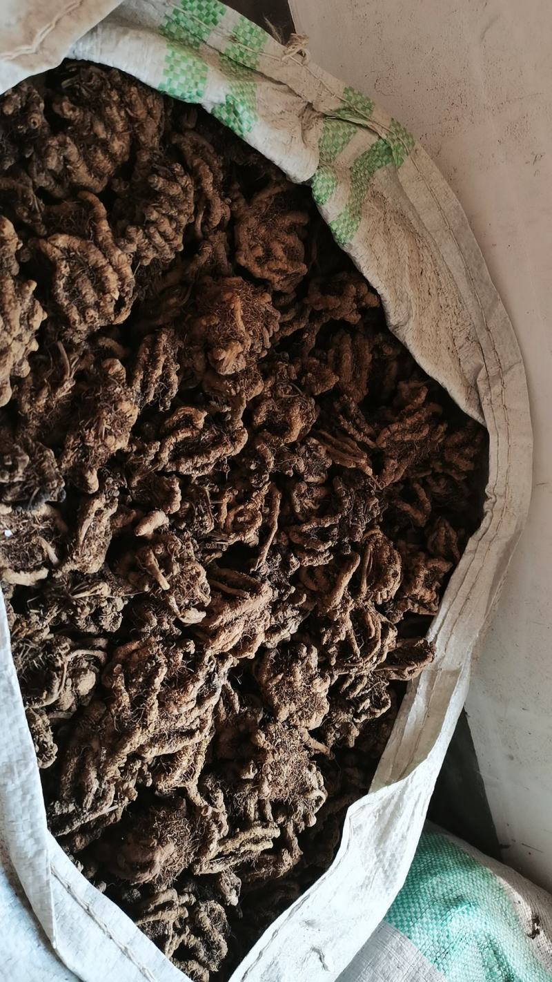 湖北恩施利川市黄连 220.00元/斤干黄莲