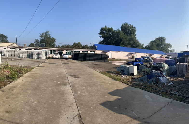 一片整齐的巨峰葡萄园,藤蔓沿支架攀爬,工人正在修剪枝叶,远处可见成排的葡萄架,阳光明媚,土地湿润,体现现代化生态种植环境 果园中的巨峰葡萄种植场景