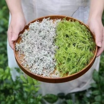 张家界原产地莓茶