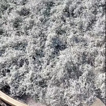 湘西滕茶（莓茶）