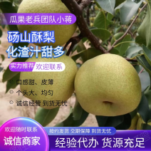 砀山县梨，砀山酥梨，砀山梨产地直供，全国代发，产地一手货