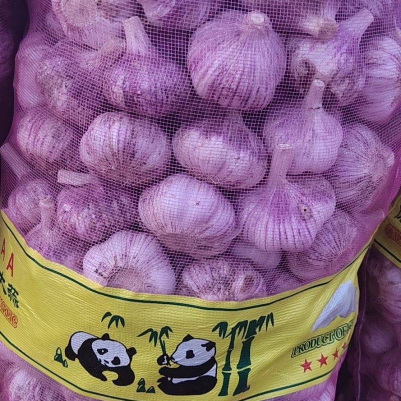 大蒜白皮大蒜太空2号产地直发
