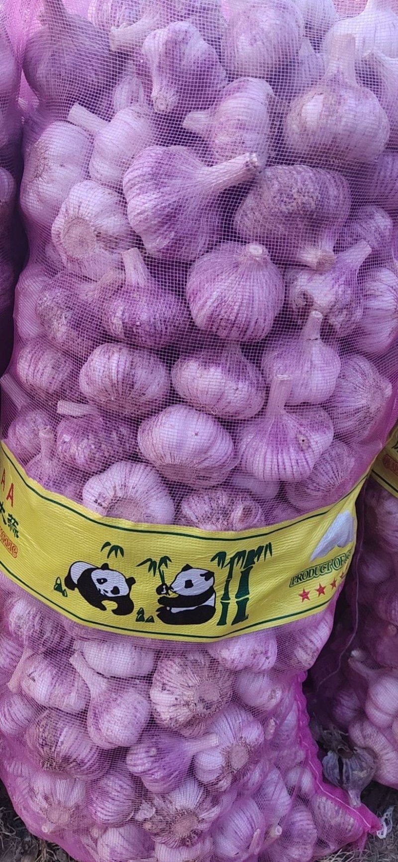 大蒜白皮大蒜太空2号产地直发