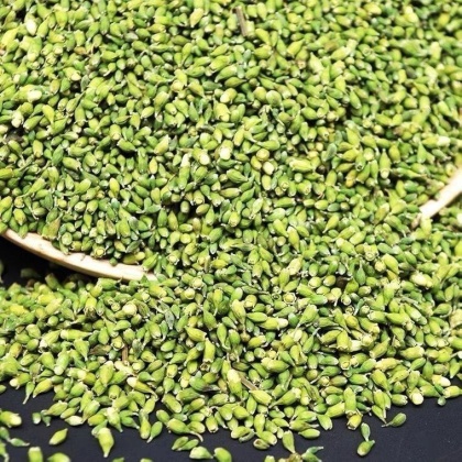 江西槐米价格行情走势 - 一亩田