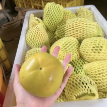 恭城脆柿红柿柿饼