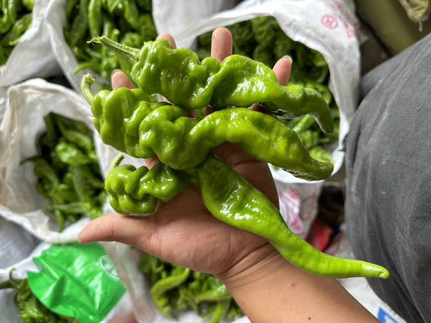 一位厨师正在厨房砧板上用刀将绿色螺丝椒切成细条，旁边配有大蒜、红椒等配料，准备下锅翻炒