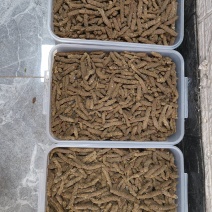 蚂蚱卵大量出售