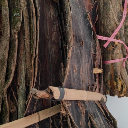 湖南怀化溆浦县产地行情