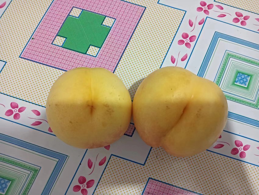 黄油桃与普通黄桃对比图